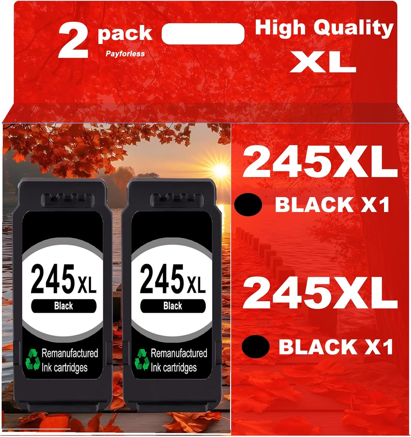 245XL Ink Cartridge Replacement for Canon Printers - 2 Pack