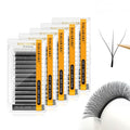 3D W Shape Eyelash Extension 5 Trays Pack - Quick Volume Fans