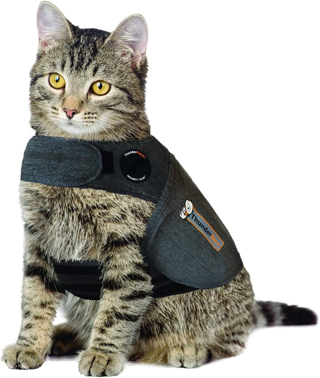 ThunderShirt For Cats: Calming Solution for Anxious Pets