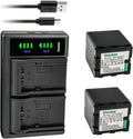 Kastar 2-Pack VW-VBN260 Battery and LTD2 USB Charger - Dual Charge