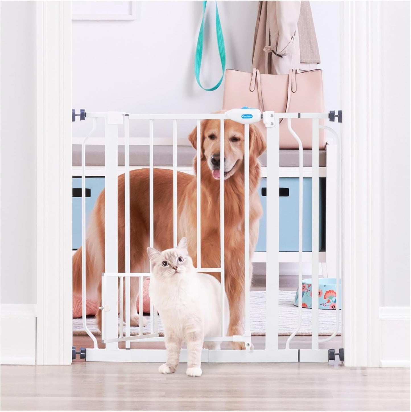 Carlson Extra Wide Pet Gate with Small Pet Door