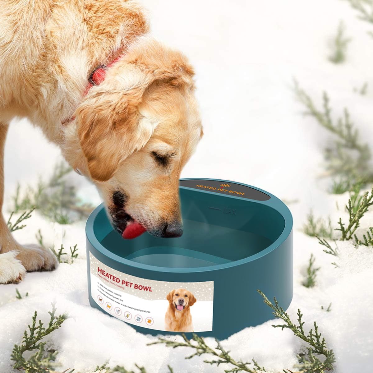 Stay Warm: PETLESO Heated Water Bowl for Pets