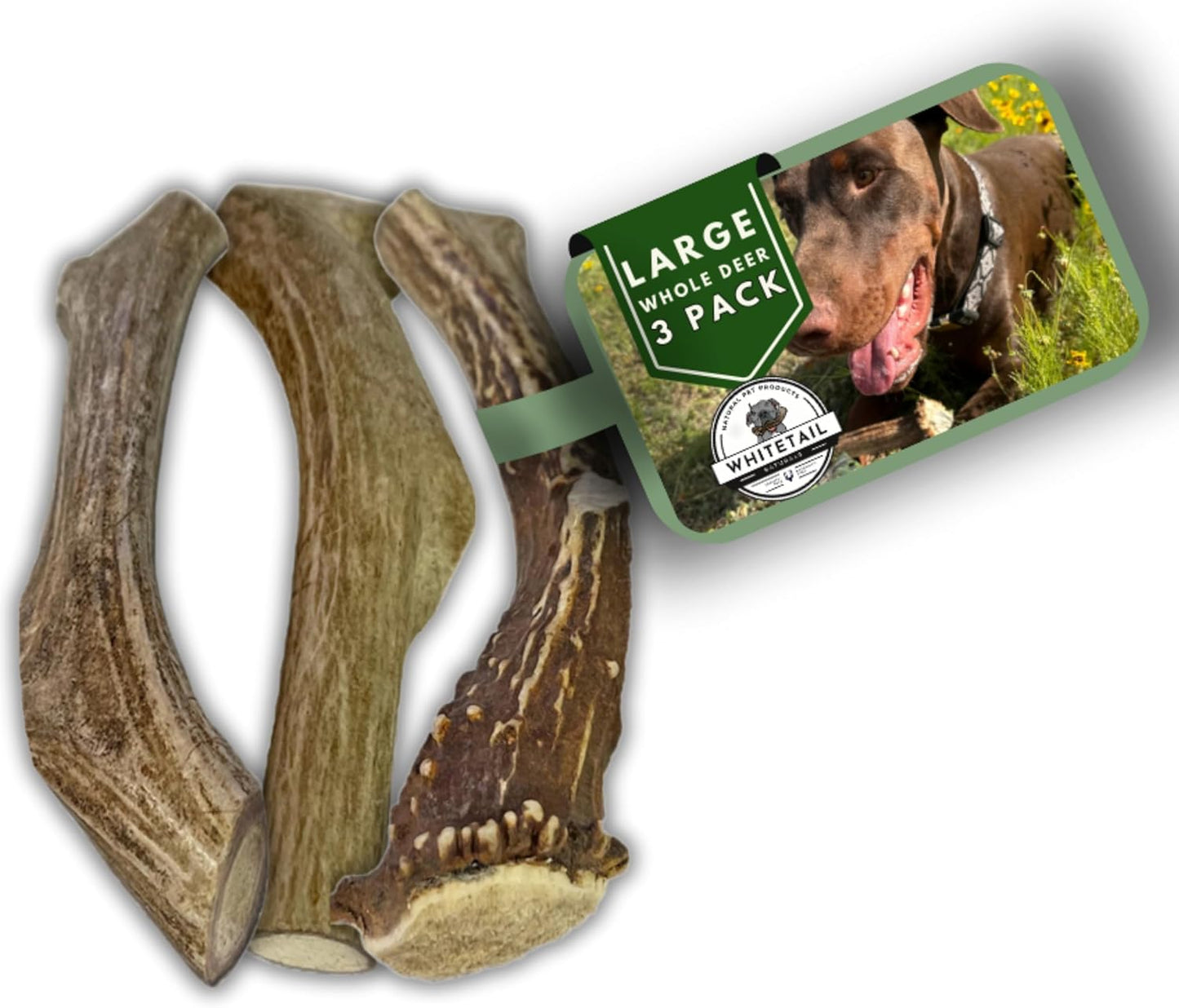 Large Dog Antler Chews - Long Lasting Bone for Aggressive Chewers