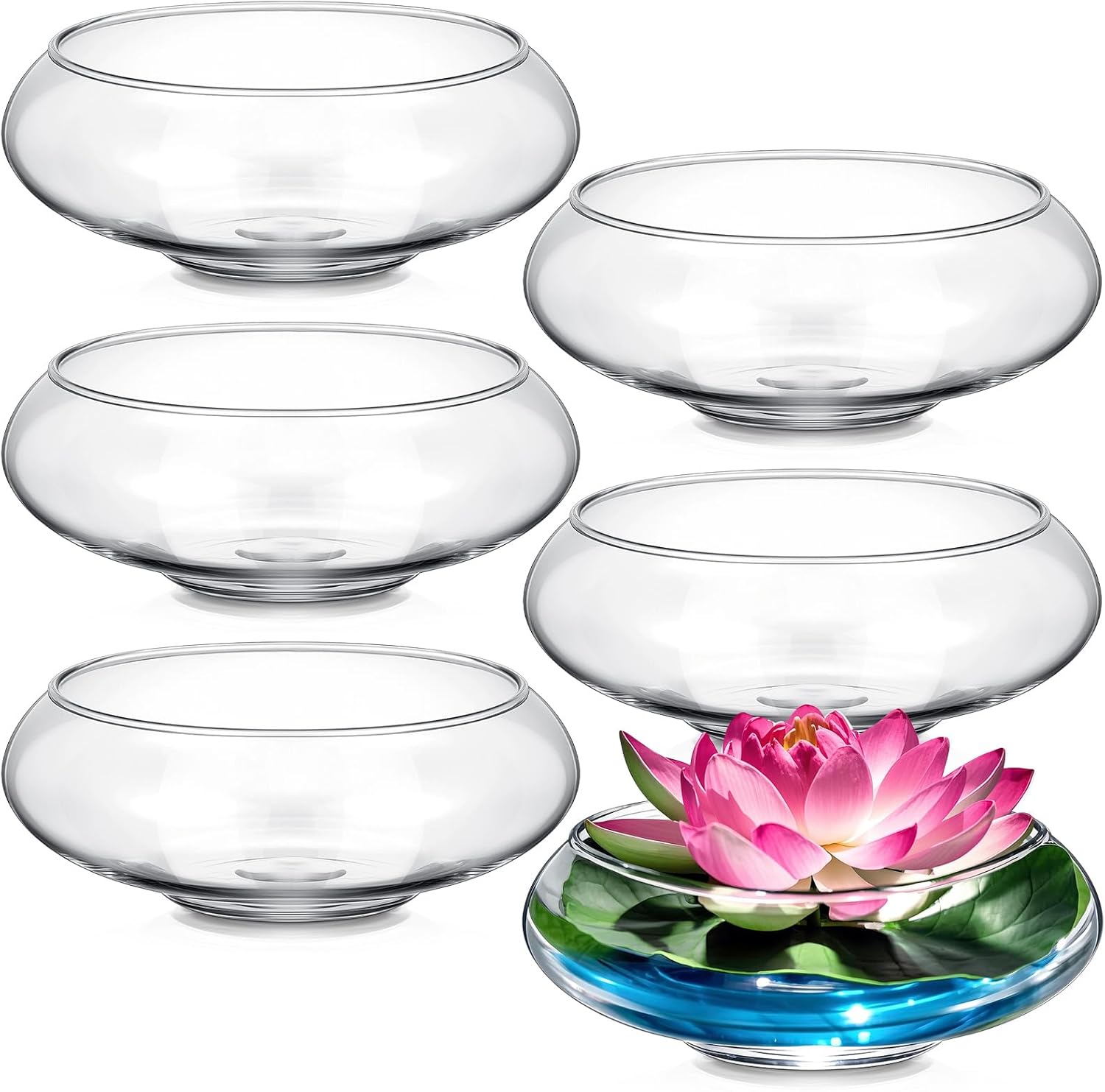 Hydroponic Planter Lotus Flower Pot Set for Indoor Decor
