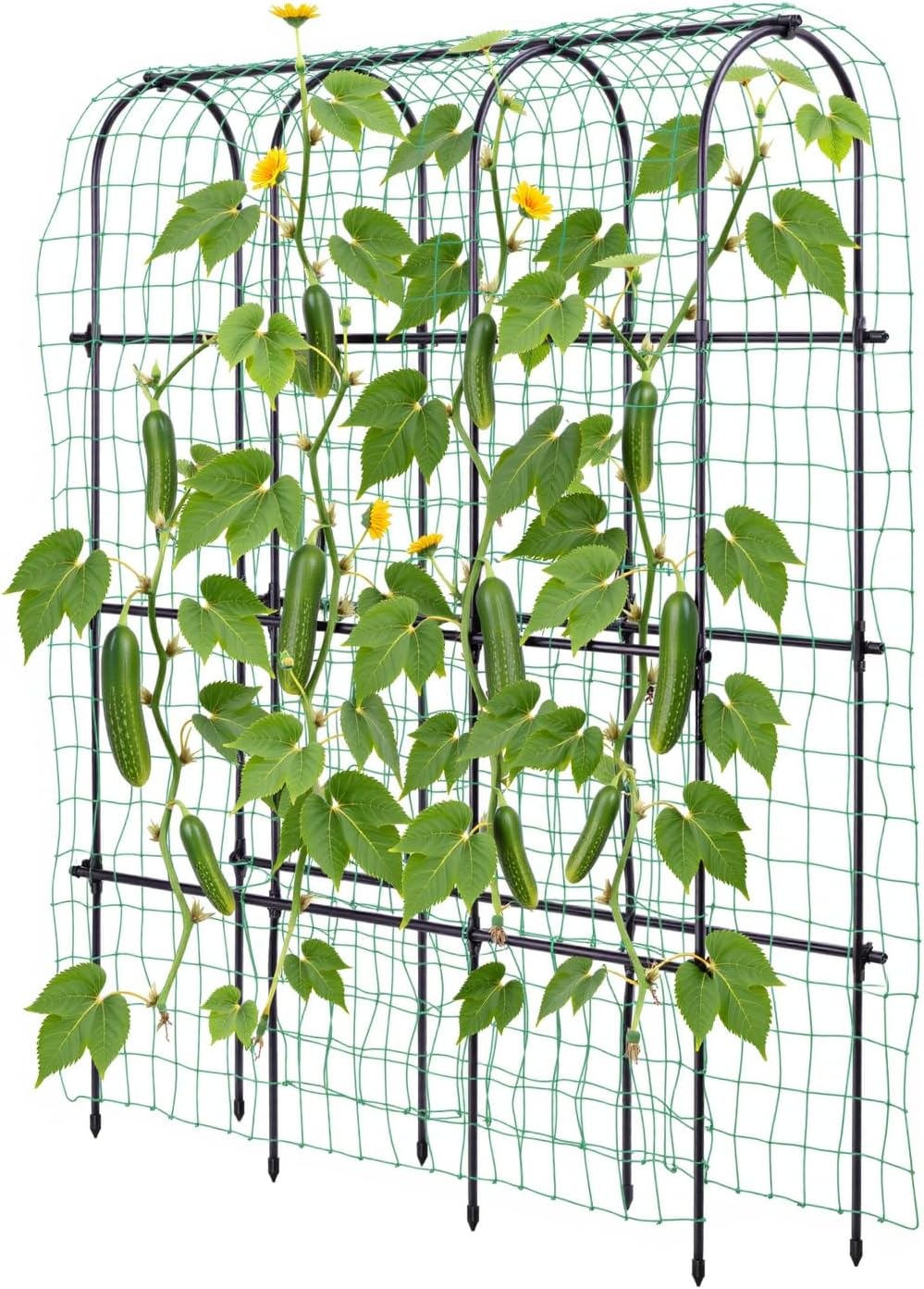 Idzo Arched Trellis for Raised Garden Bed - Durable Vegetable Support