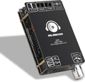 100W+100W Dual TPA3116D2 Bluetooth Amp Board by DAJUNGUO