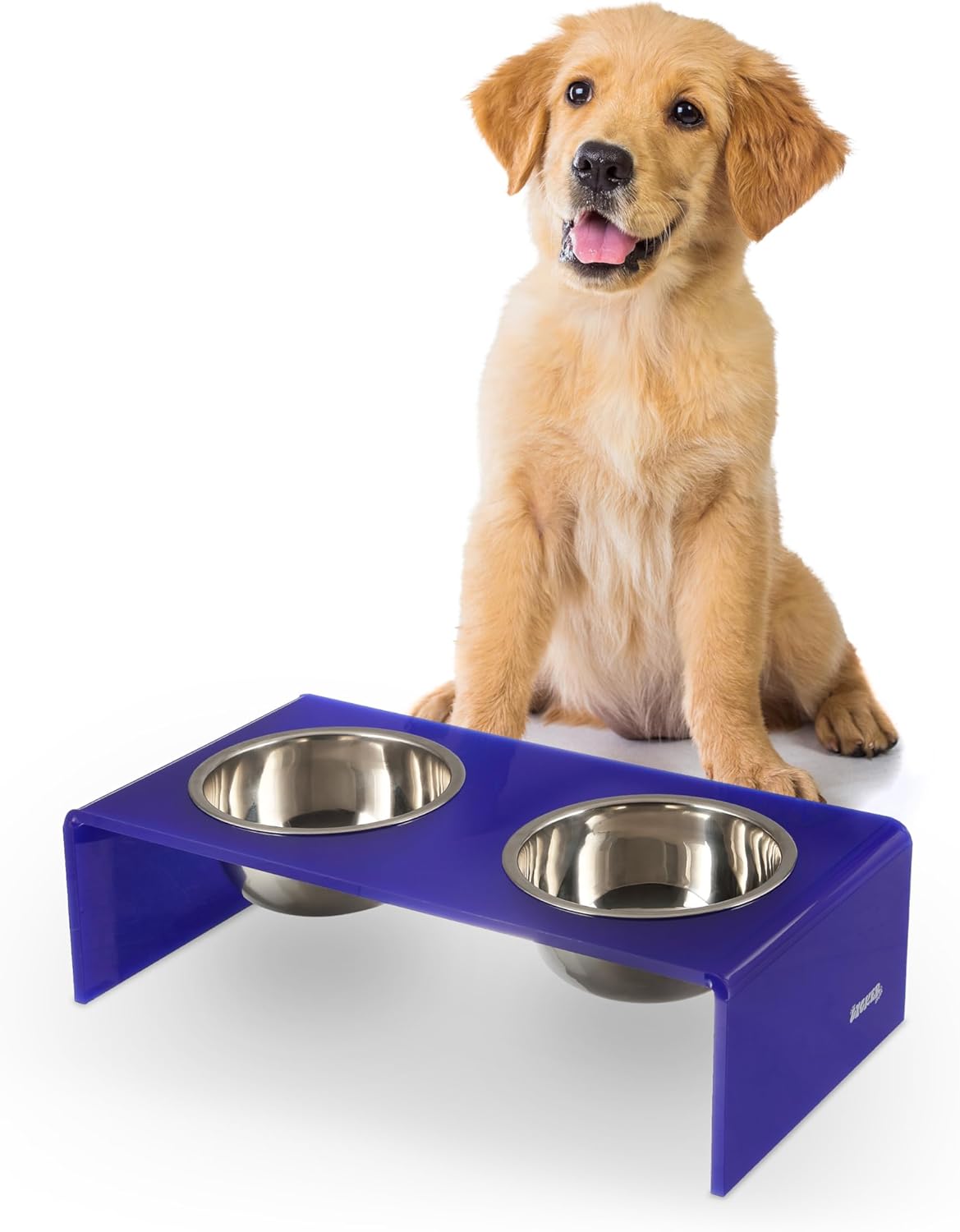 Modern Acrylic Elevated Pet Feeder with Stainless Steel Bowls