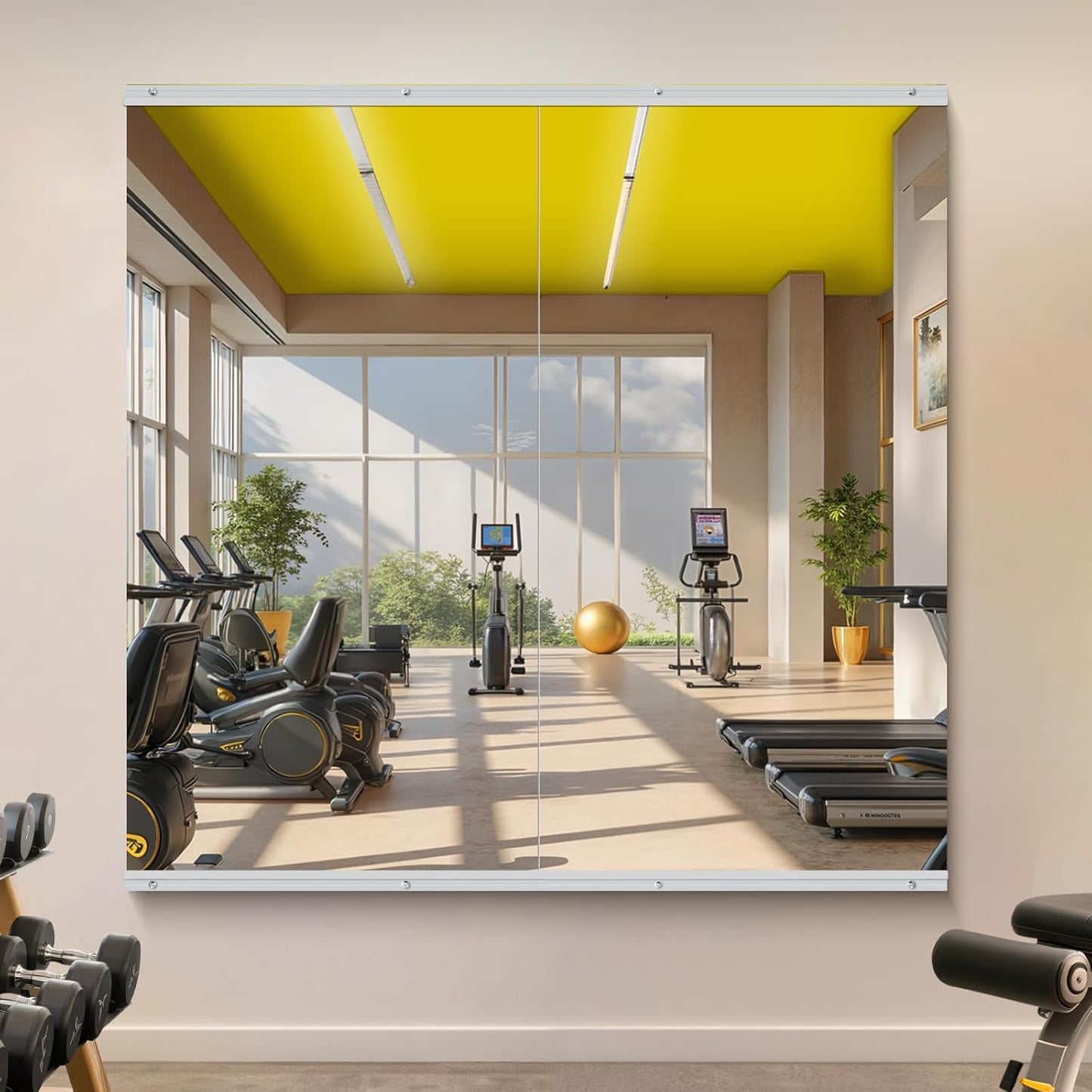Home Gym Mirror - 55x28 Inch Frameless Tempered Glass Design