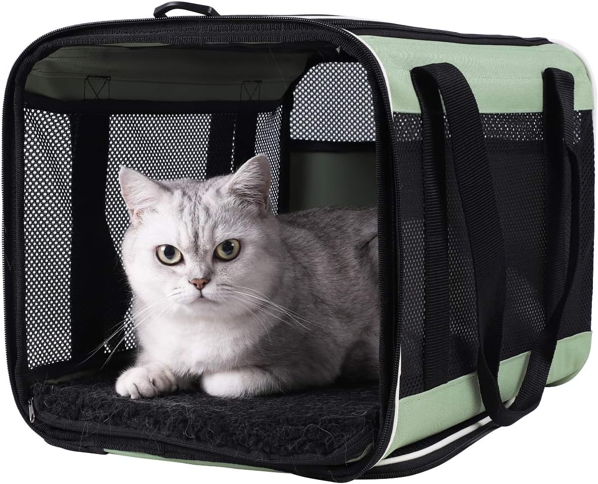 petisfam Easy Load Pet Carrier for Cats and Small Dogs