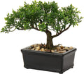 Briful Small Bonsai Tree: Lifelike Faux Juniper for Stylish Home Decor