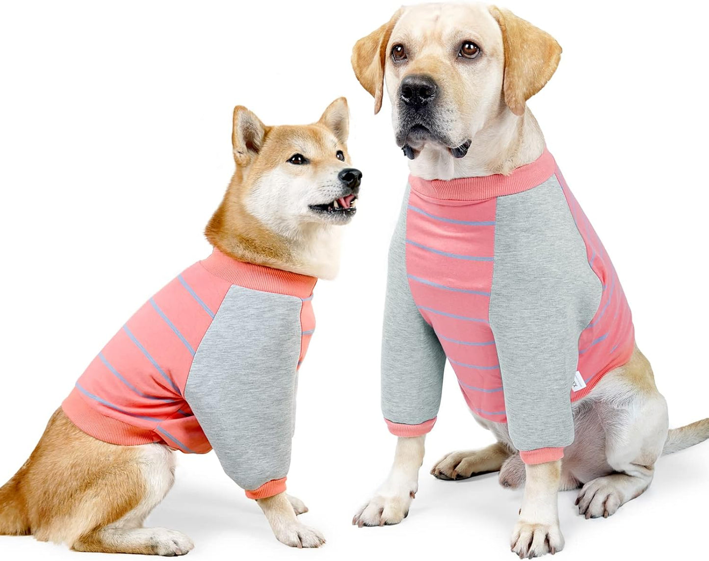 GabeFish Anti-Licking Hoodie for Pets, OrangeGrey, Medium