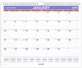 AT-A-GLANCE 2025 Wall Calendar 15in x 12in - Large Daily Blocks