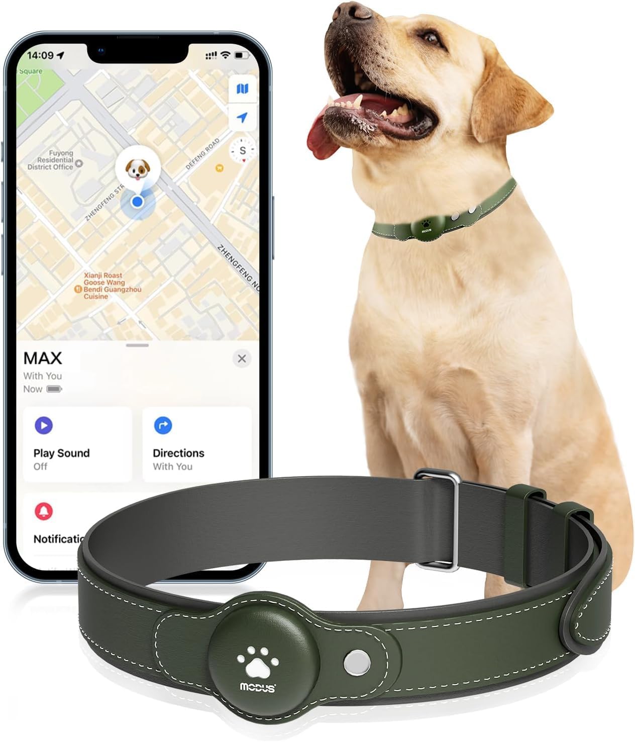 GPS Tracker for Dogs - 2 in 1 Smart Collar with No Monthly Fee