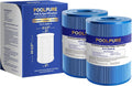 POOLPURE Antimicrobial PLFC-8465-M Spa Filter 65 sq. ft - 2pack