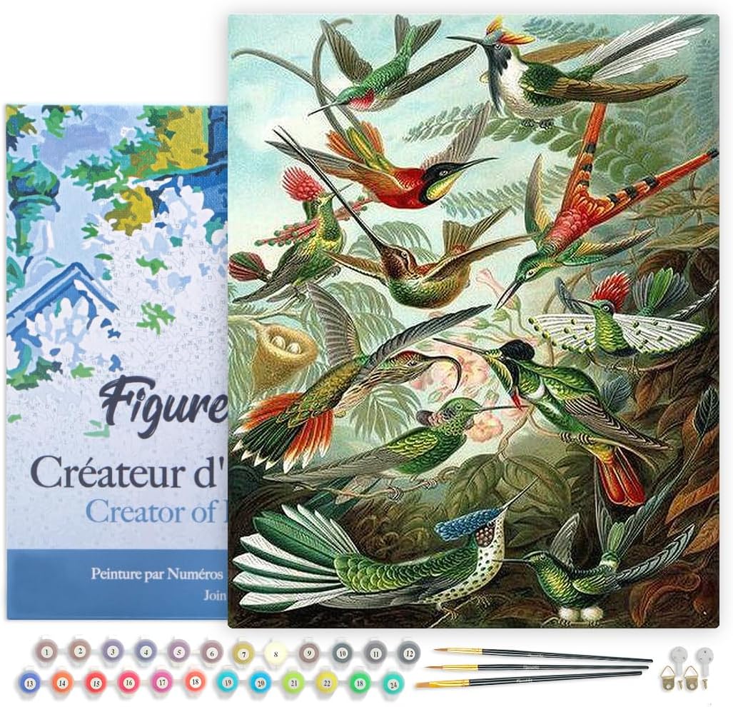 Figured'Art Paint by Numbers Kit for Adults - All The Birds