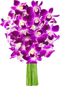 KaBloom Flowers 10 Purple Orchid Bouquet - Fresh Valentine Gift