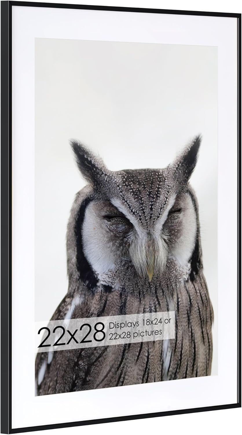22x28 Metal Picture Frame with Mat - Modern Brushed Aluminum