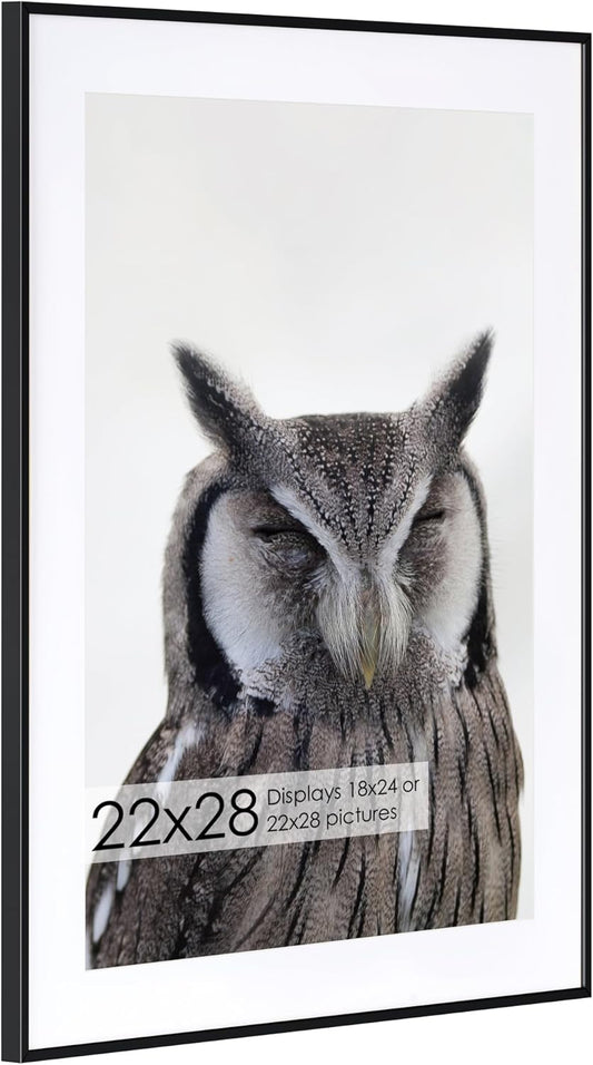 22x28 Metal Picture Frame with Mat - Modern Brushed Aluminum