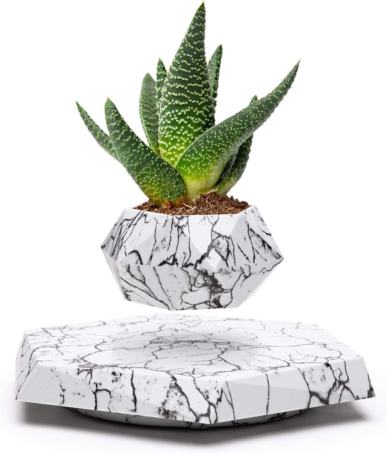 Floating Pots for Plants - Levitating Planter for Home Decor