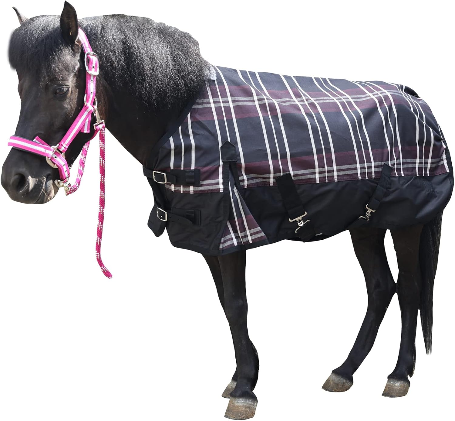 600 Denier Ripstop Poly Waterproof Miniature Horse Sheet Review