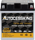 YTX30L-BS Motorcycle Battery - Reliable 12V 30Ah SLA Power