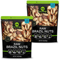 Raw Brazil Nuts - Unsalted Whole Nuts 16oz 2-Pack - Fresh Resealable