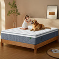 Queen Mattress 12 in Memory Foam Hybrid Mattress - Motion Isolation