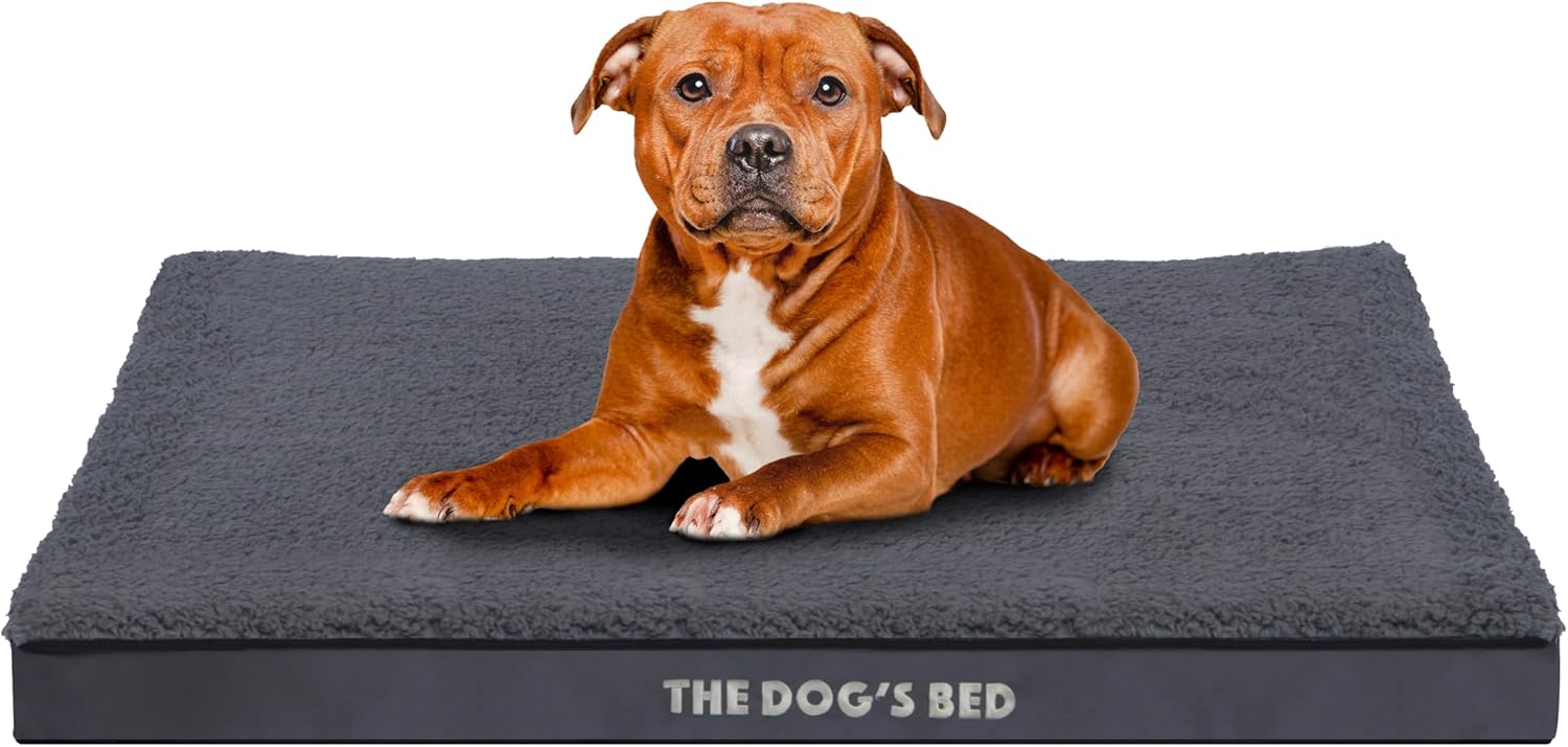 The Dog's Bed Orthopedic Dog Bed - Large Grey Plush Comfort