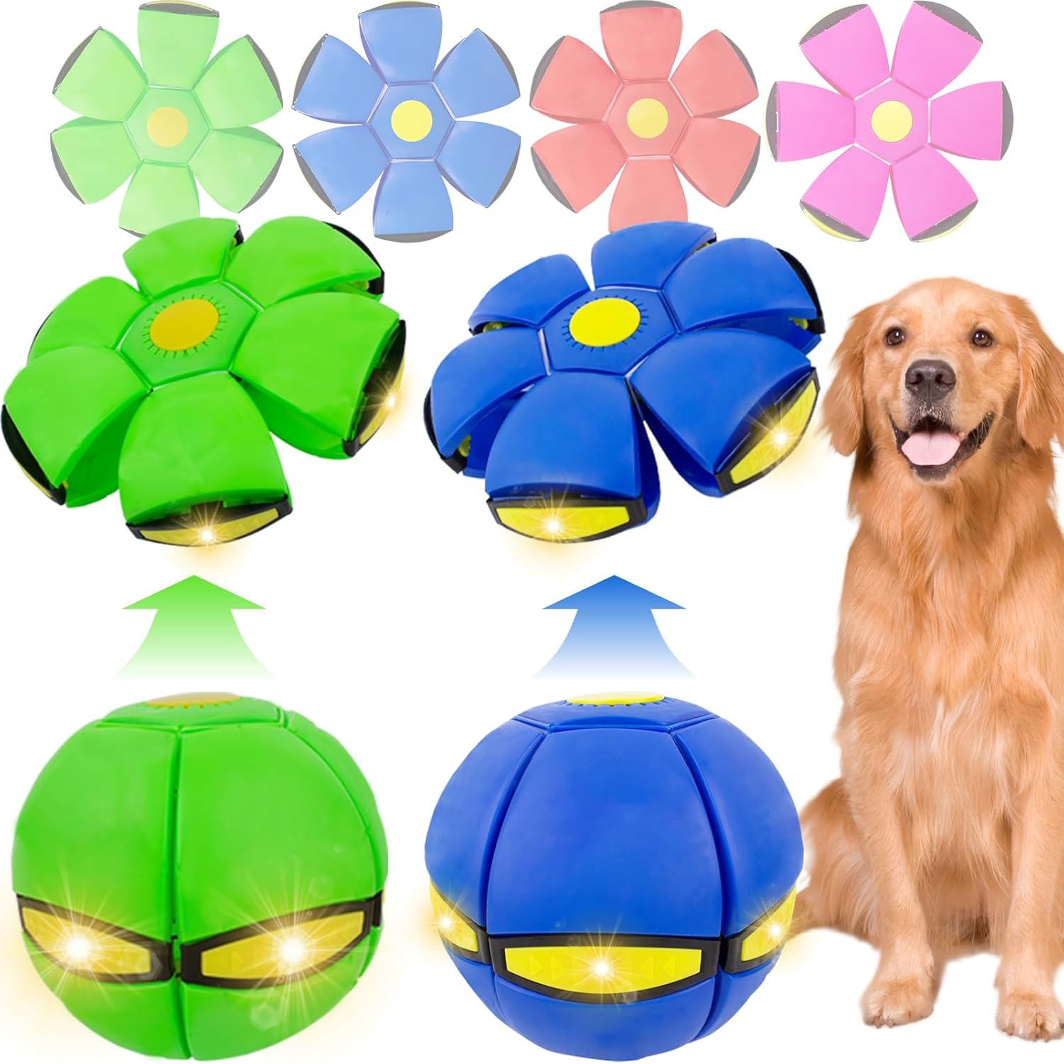 Interactive Light-Up Dog Flying Discs - 2 Pack