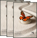 Mantello 11 x 17 Frame 3-PACK - Clean Look Black Front-Loading Poster
