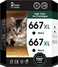 667XL Ink Cartridges Replacement for HP 667 XL - 2 Black Pack