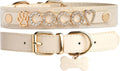 Paws Paws Miami Female Dog Collar with Custom Bling - Personalized
