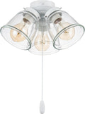Ceiling Fan Light Kit - Matte White 3-Light Pull Chain