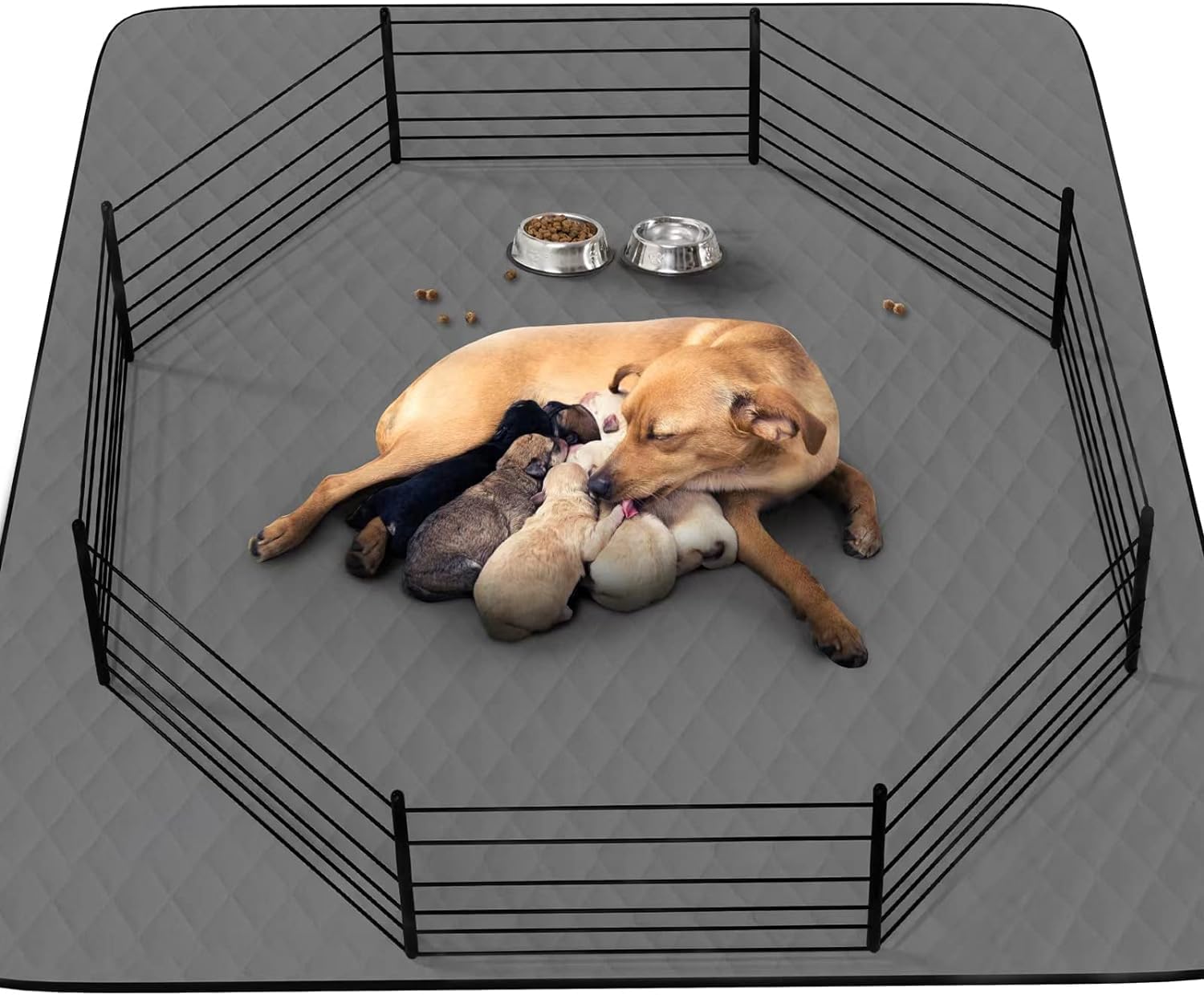 Extra Large Washable Puppy Dog Pee Pad for Training and Comfort