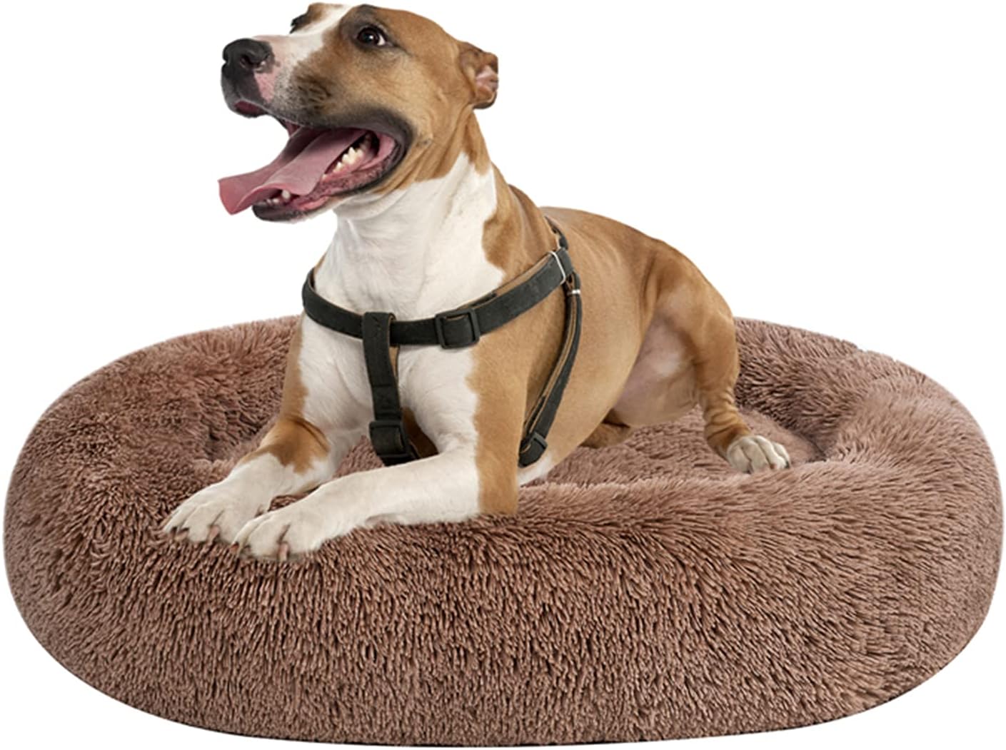 Coohom Oval Calming Donut Cuddler Dog Bed for Small Medium Pets