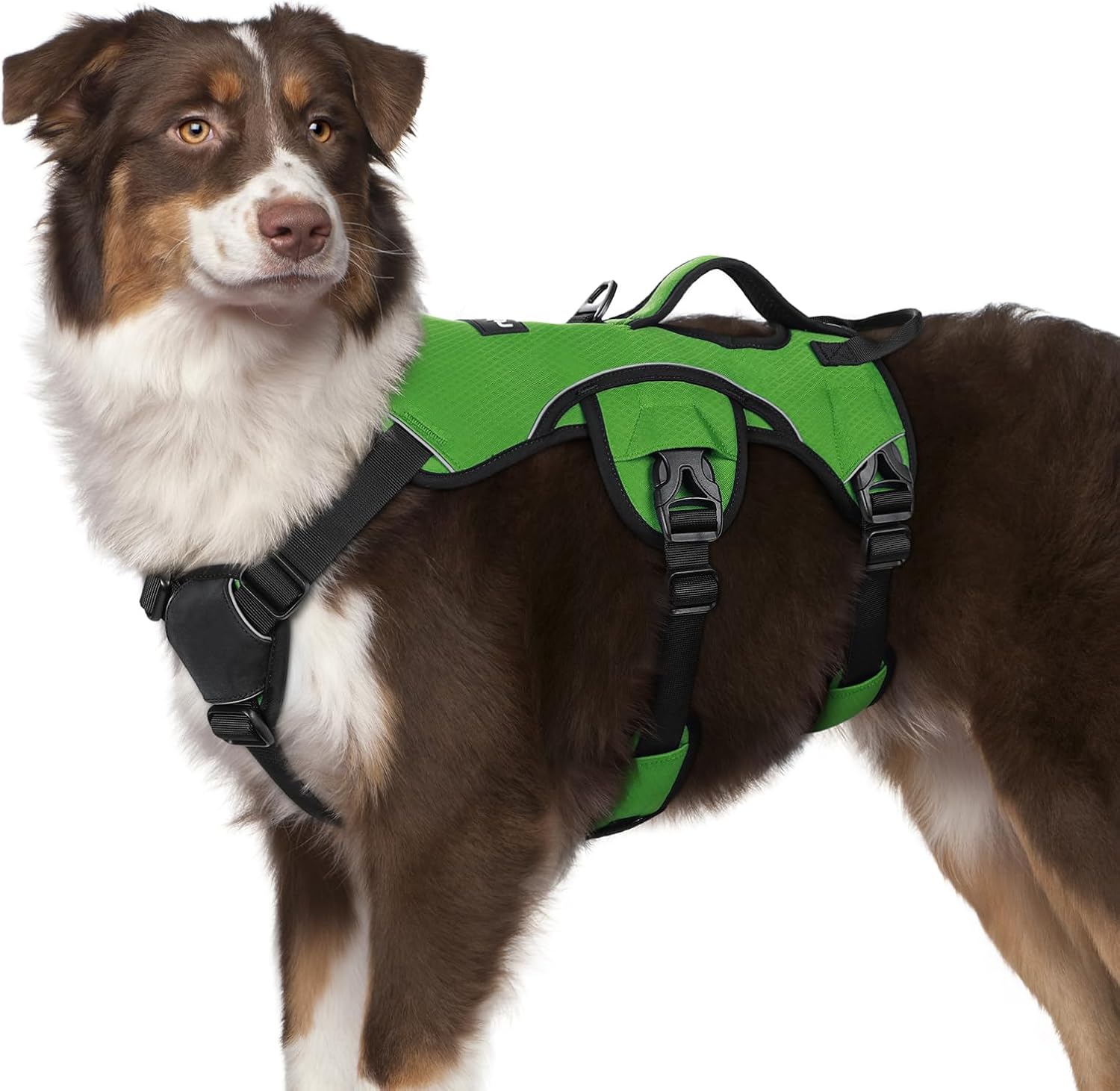 Escape Proof Dog Harness for Large Dogs by rabbitgoo - Green