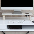 Monitor Stand Riser for Desk - Ergonomic Desktop Organizer and Laptop