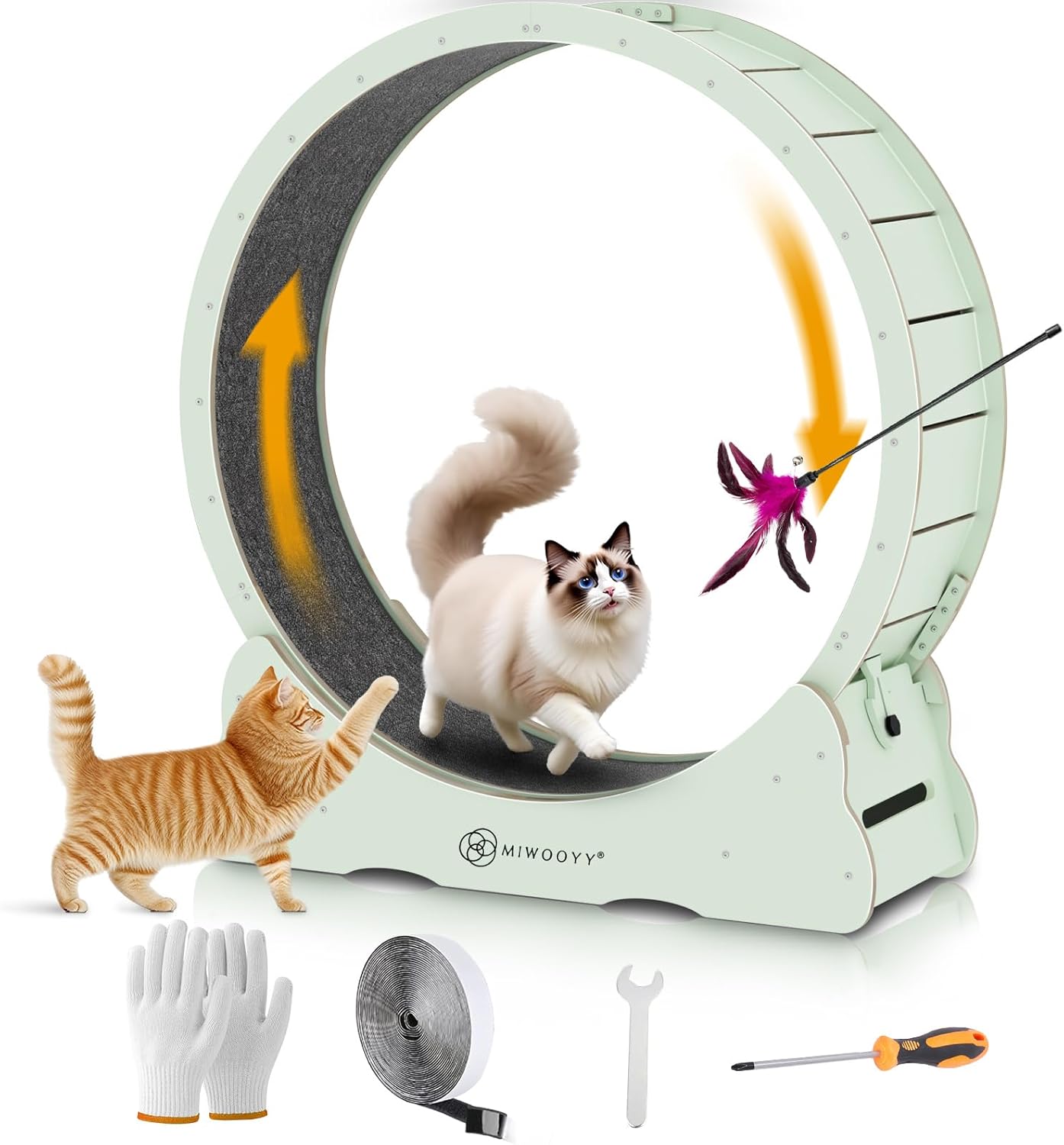 Large Cat Exercise Wheel for Indoor Cats - Mint Green Design