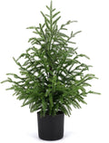 2FT Artificial Norfolk Pine Christmas Tree - Compact Pre-Lit Tabletop