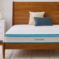 Linenspa 8 in Memory Foam and Spring Hybrid Mattress - Medium Firm