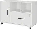 Wood File Cabinet with Lock 1-Drawer Lateral Filing Cabinet - Mobile