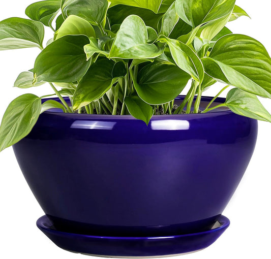 9 Inch Ceramic Planter for Indoor Plants with Drainage Hole