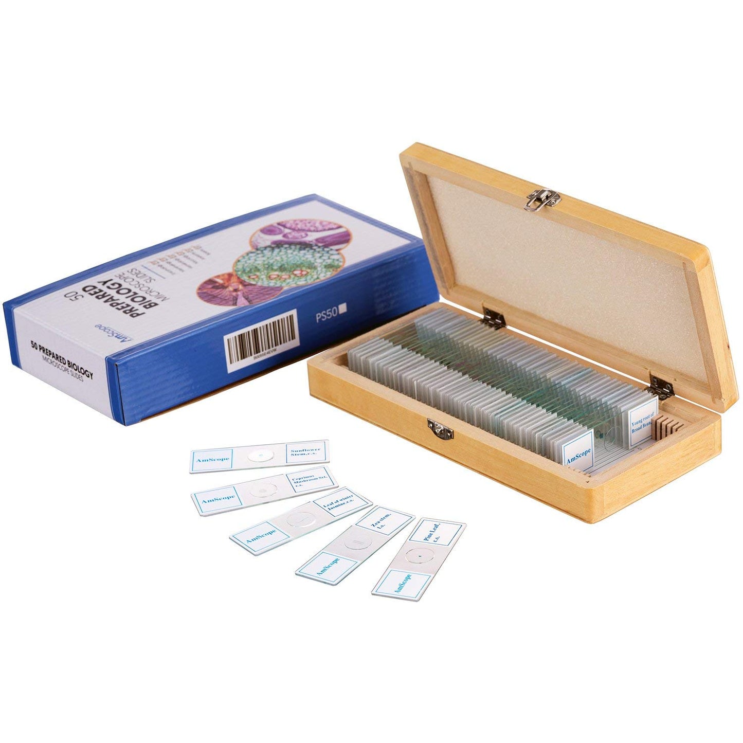AmScope PS50 Prepared Microscope Slide Set for Education