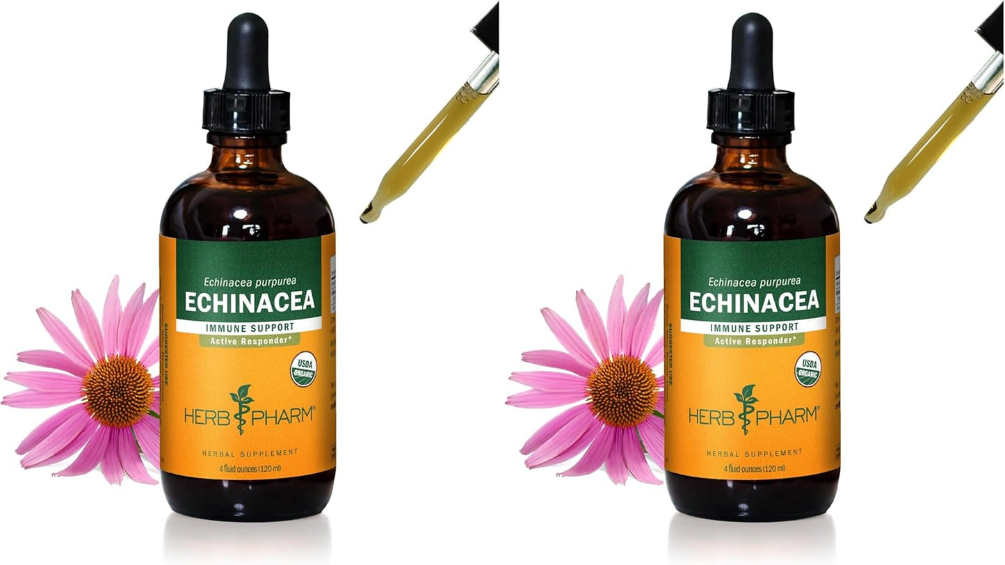 Organic Echinacea Root Liquid Extract for Immune Support 4oz