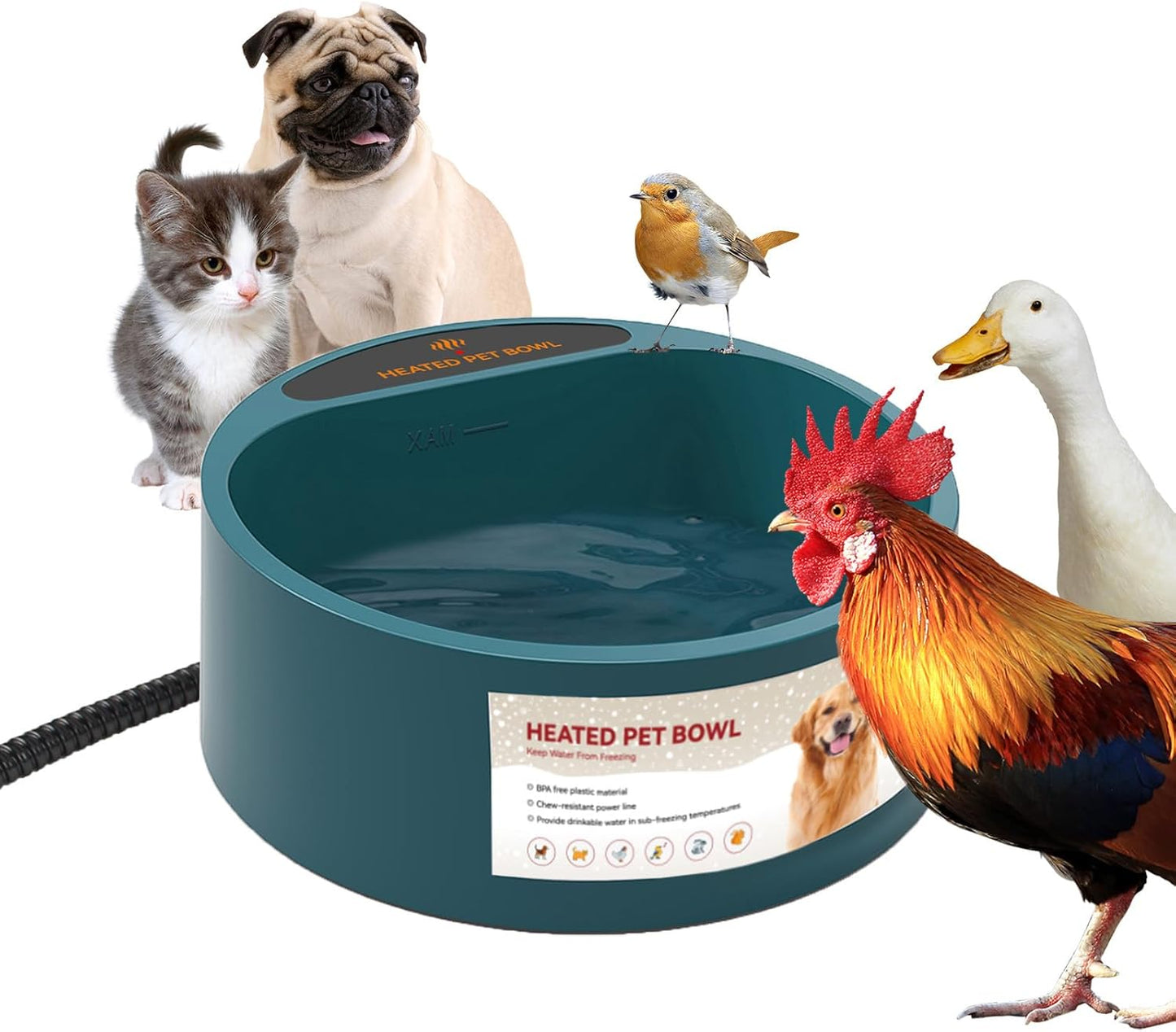 Chew-Resistant Heated Water Bowl for Dogs