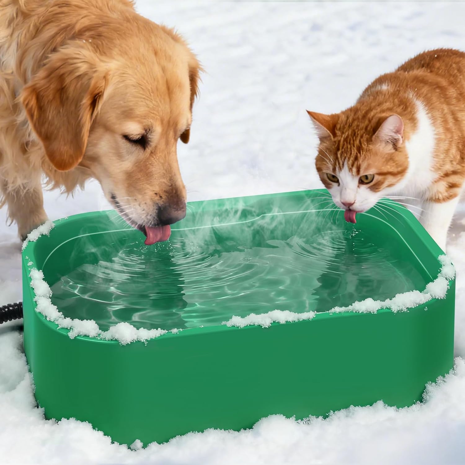 IPOW Extra Large Heated Water Bowl for Pets in Winter Conditions