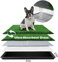 Dog Grass Pad with Tray Medium 31x21 - Indoor Potty Solution