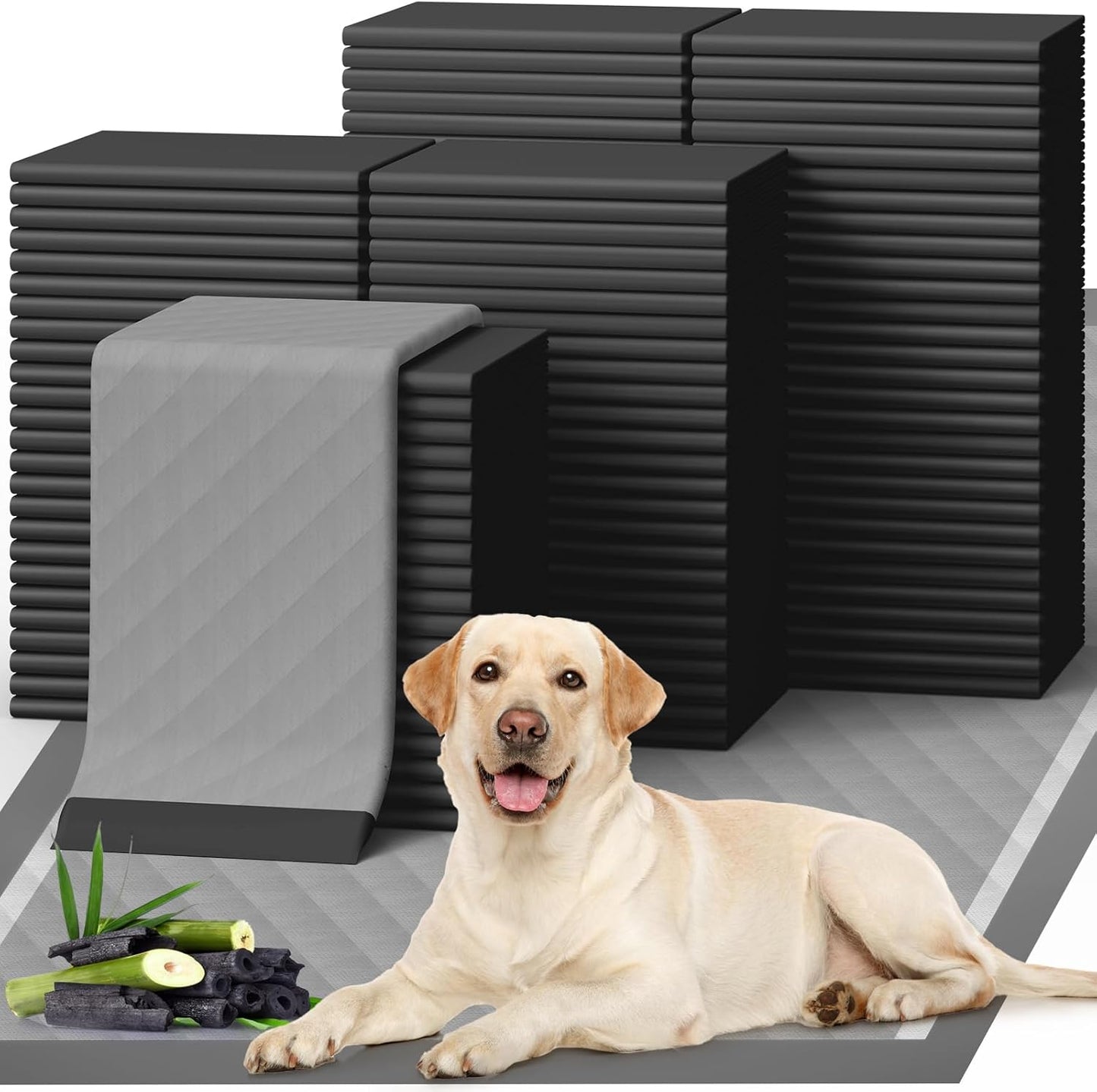 X-Large Puppy Pads for Dogs - 100-Pack Quick-Dry Pee Pads
