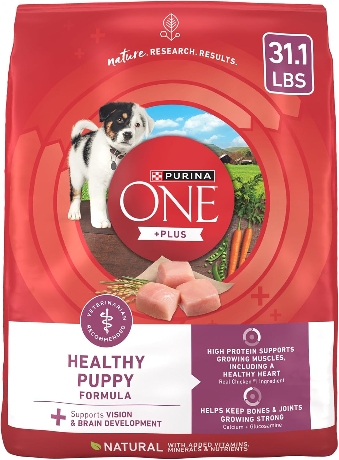 Purina ONE Plus Healthy Puppy Formula High Protein Dry Food