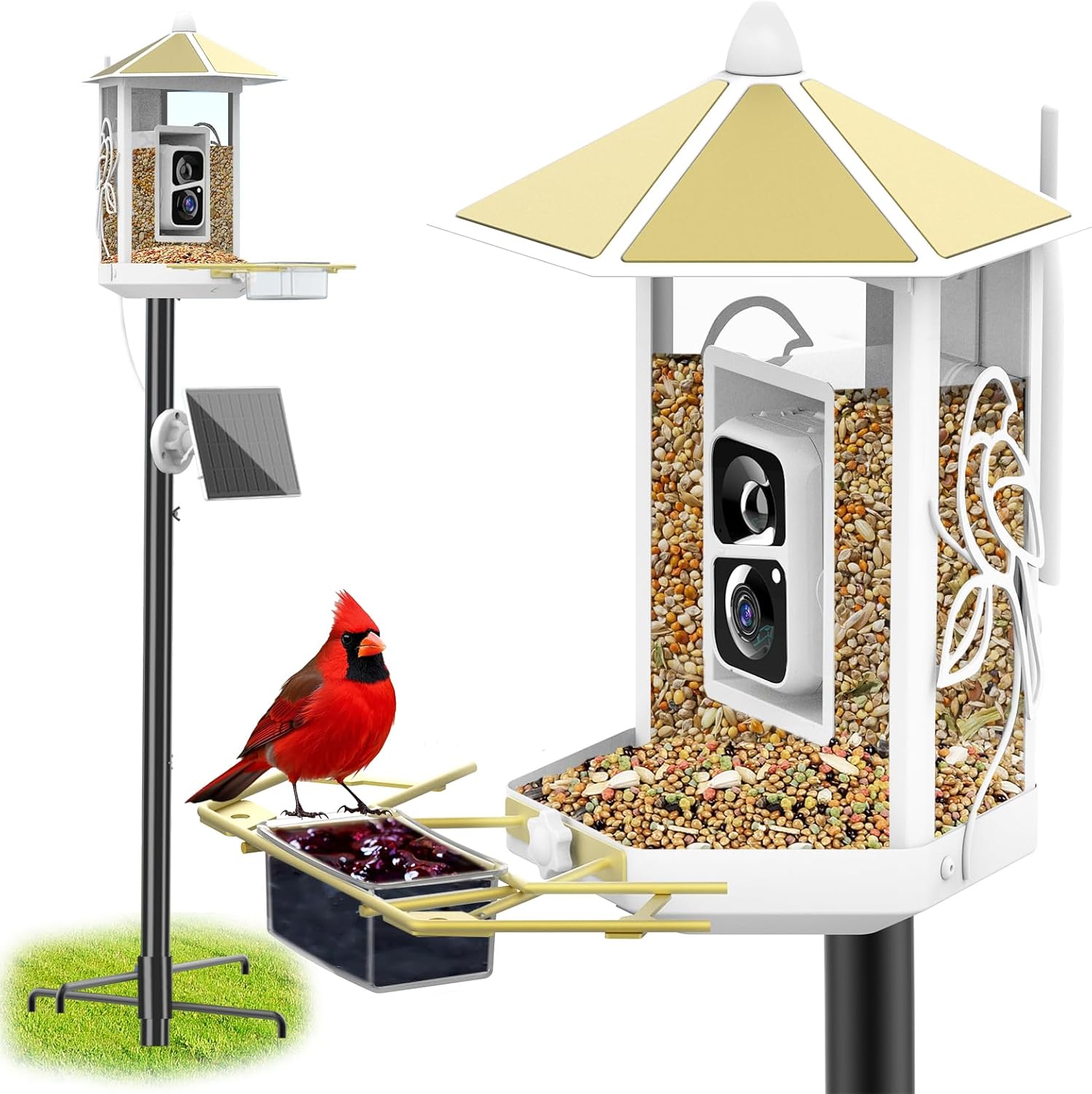 Smart Solar Bird Feeder Cam - AI Capture, 2K Live Stream